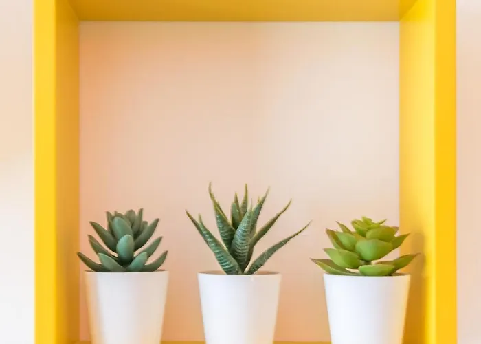 Casa Vanoli Apartment La Spezia